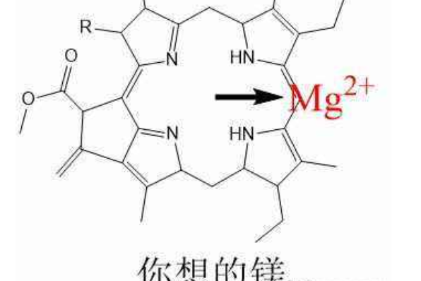 骂人三氧化二铁梗（讽刺你脑子生锈了）