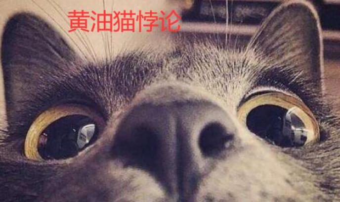 黄油猫悖论永动机（提出黄油猫悖论是制作永动机的关键）