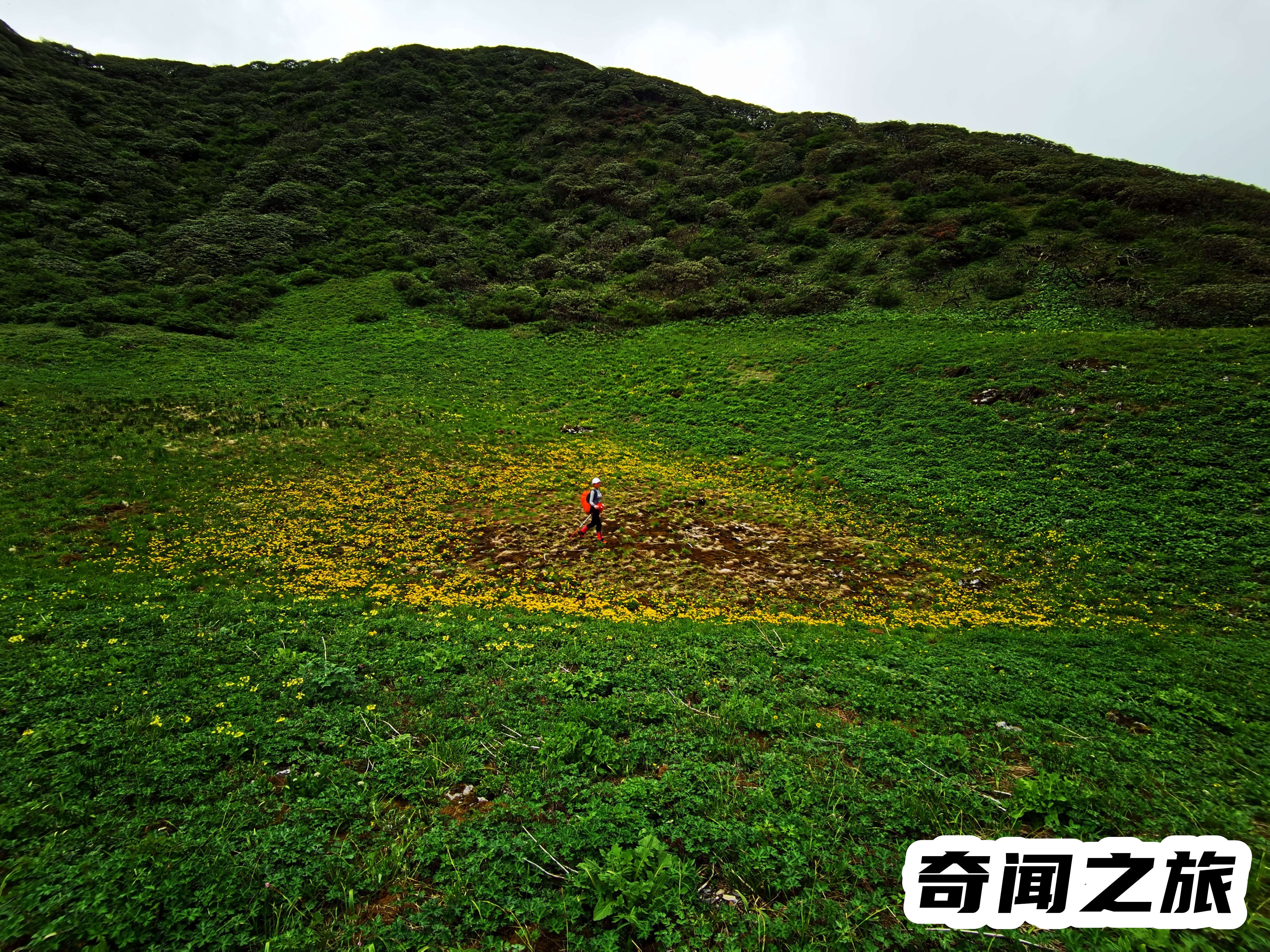 大理值得去的旅游景点（大理古城旅游攻略必去景点介绍）