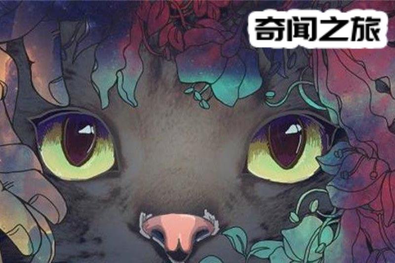 好奇心害死猫的故事由来（好奇心害死猫典故）