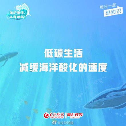 世界海洋日的时间是几月几日（2022世界海洋日是哪天）