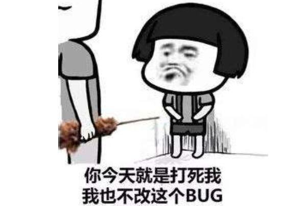 bug是什么网络意思（bug意思是漏洞吗）