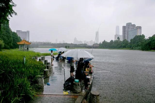 深圳哪里好玩的景点免费开放（深圳好玩的地方推荐免费景点最新）