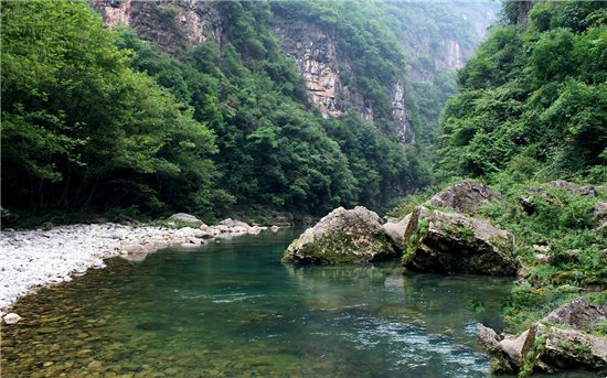 俗语天上九头鸟地上湖北佬是啥意思（聪明有心机有头脑）