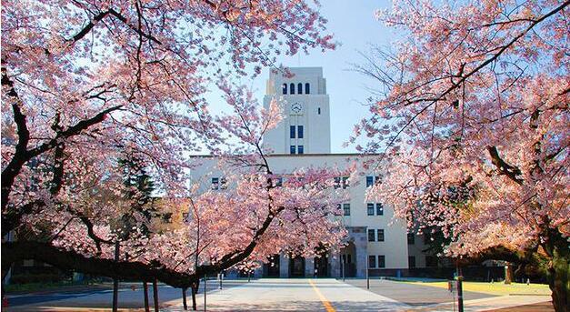 日本综合实力最强的十所大学