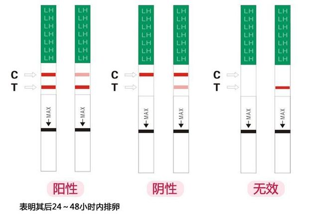 女孩子如何怀孩子（女人怎么容易怀上孩子）