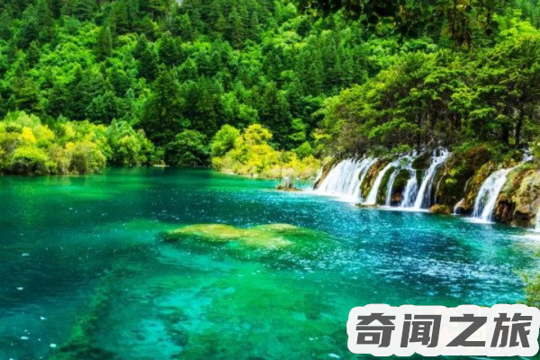 去九寨沟旅游需要多少钱(预计总费用在5000-10000元左右)