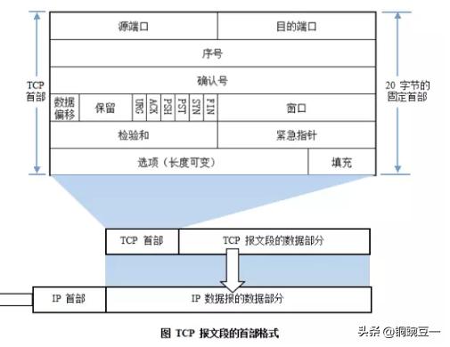 电脑知识初学入门（新手学电脑入门教程大全）