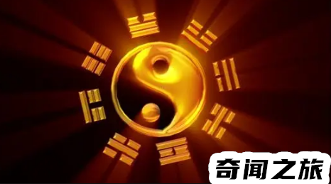 2023年属兔百年难遇（2023黑兔年会发生什么事情）