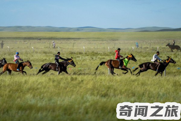 那达慕是什么族的传统节日(那达慕是我国内蒙古所举办的一种传统节日)