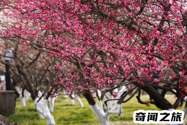 杭州有哪些旅游景点值得一去（杭州市旅游攻略必去景点大全）