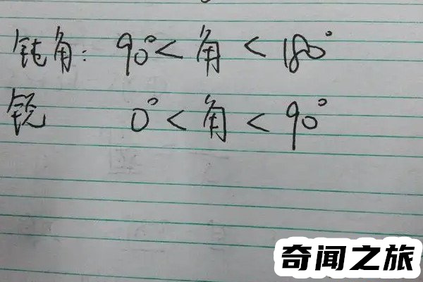 钝角是什么梗毫无厘头的抽象文化展现(无实际意义)