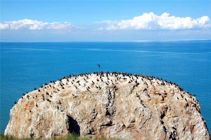 全国最大湖是哪里（青海湖水体面积达到了4625.6平方公里）