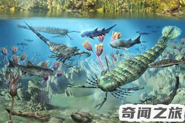 地球上经过几次生物大灭绝（地球现在是第几次灭绝）