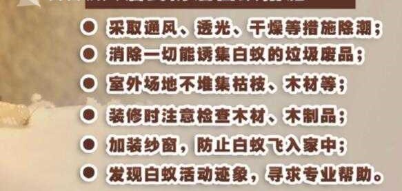 上海白蚁爆发原因具体是什么（上海白蚁大军成群涌入）