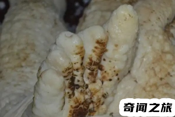 山东小伙子电死外星人（使用橡胶材料制作而成）