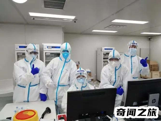 医学检验技术专业主修课程有哪些（医学检验技术具体是学什么）