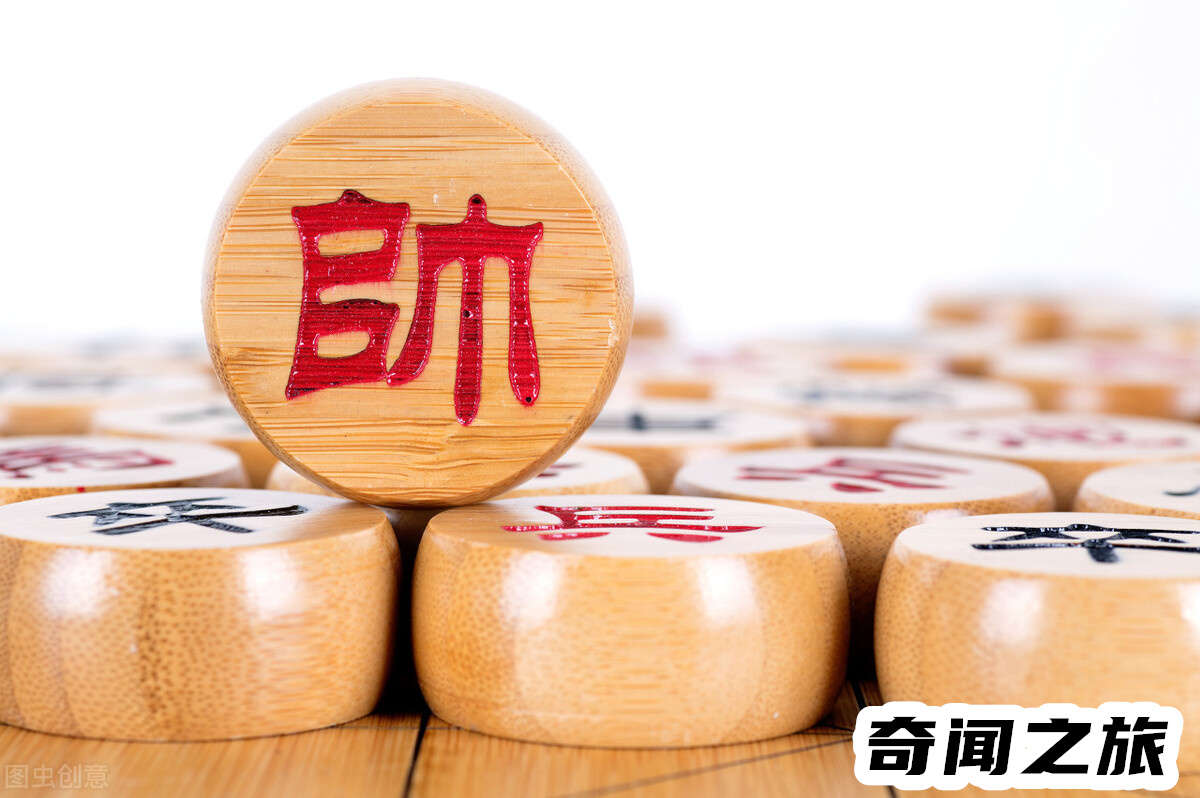 如何下国际象棋（国际象棋入门教学视频基本步法）