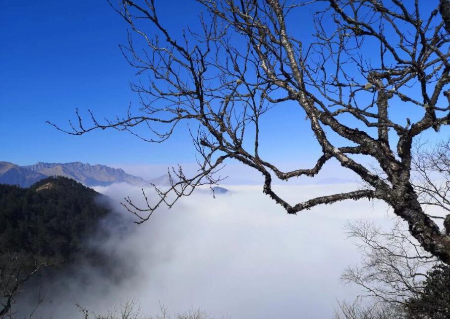 成都十大热门旅游景点介绍