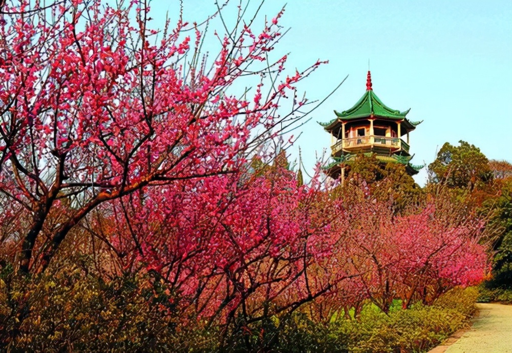 常州免费的景点有哪些地方（常州网红免费景点）