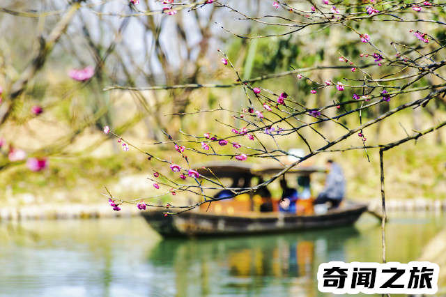 杭州有哪些旅游景点值得一去（杭州市旅游攻略必去景点大全）