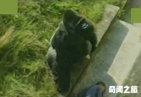 “猩猩男孩”已是两个孩子的爸爸！