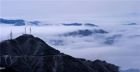 俗语天上九头鸟地上湖北佬是啥意思（聪明有心机有头脑）