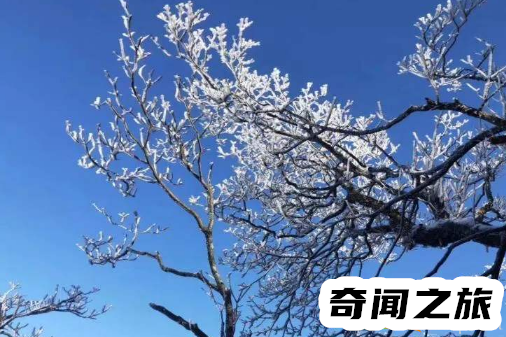 女人梦见下雪是啥意思（女人梦见下雪是什么征兆）