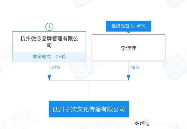 李子柒事件全部经过（李子柒事件背后的故事）