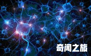 人类世界其实是个程序放大细胞十亿倍是宇宙