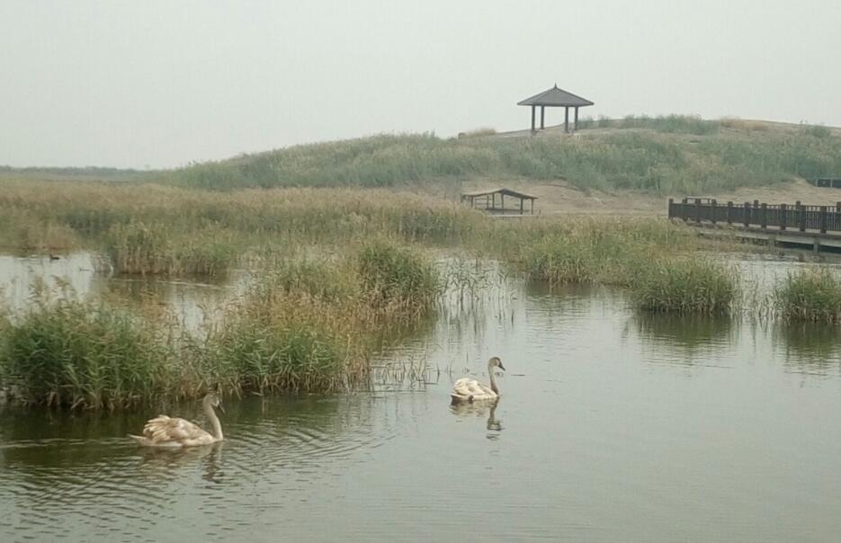 沧州市十大景点介绍