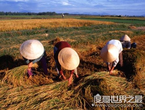 朝霞不出门晚霞行千里是什么意思，蕴含着大气运动学的科学知识