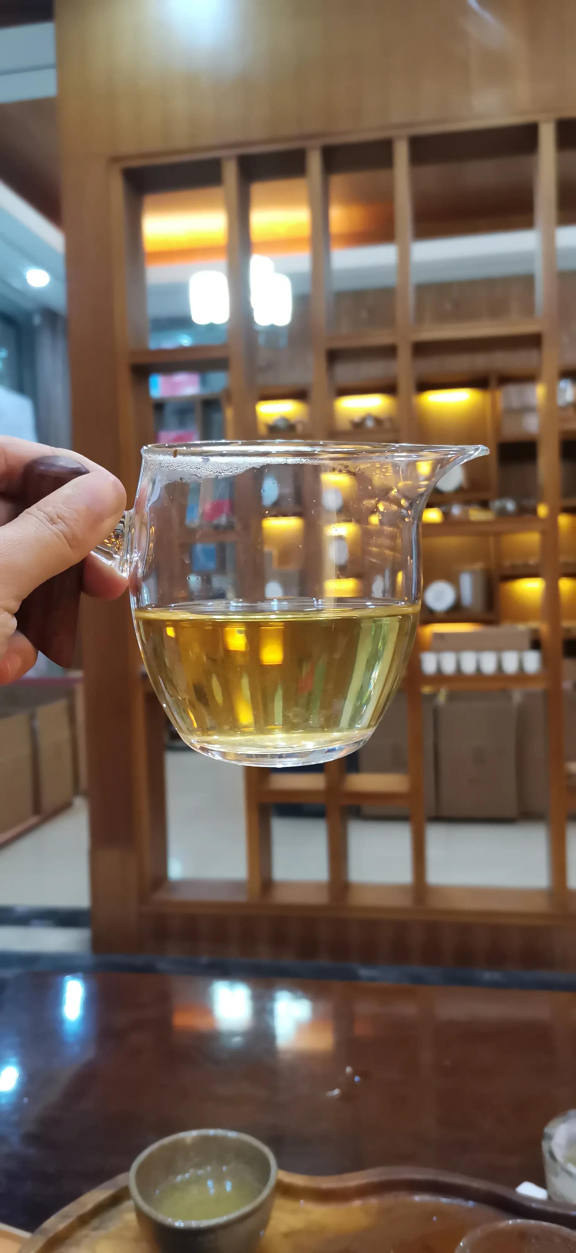 普洱生茶和熟茶哪种更好（普洱茶生茶和熟茶有什么区别）