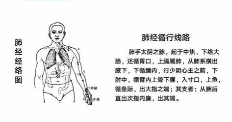 女人吃杏仁的功效与作用（长期吃杏仁的副作用）