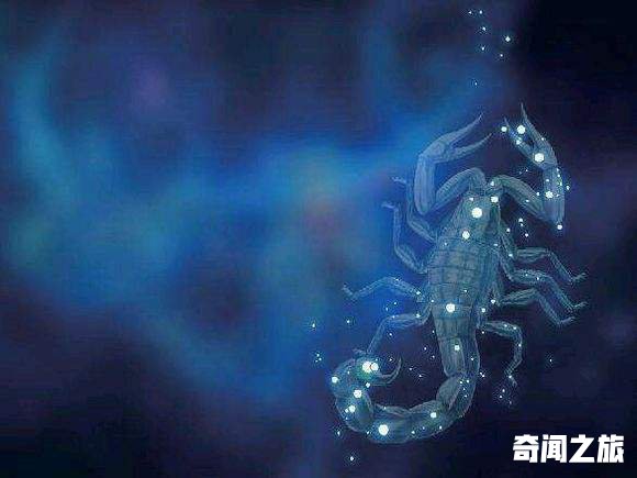 属于水象的星座有哪些（水象星座有哪些不为人知的共性）