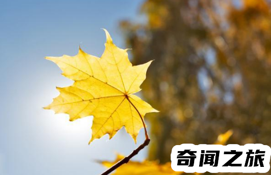 今年立秋是几月几日几点（2022年立秋好不好）