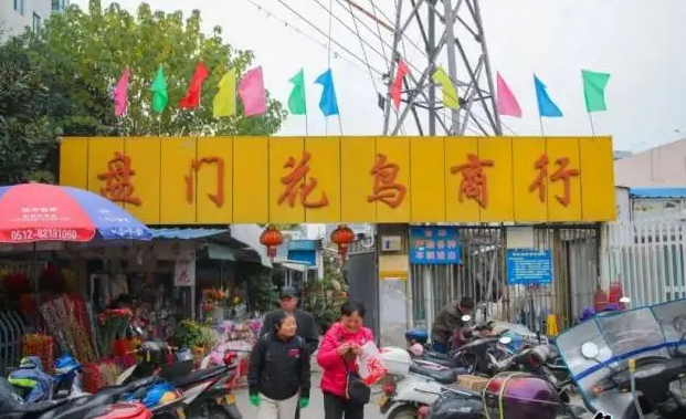 苏州七大花鸟市场