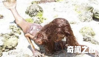 黑鳞鲛人：海滩惊现美人鱼尸体