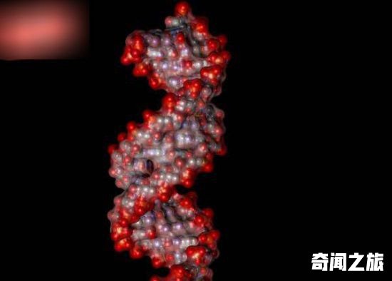 生命起源的骇人理论 不从地球开始而是从外太空来的