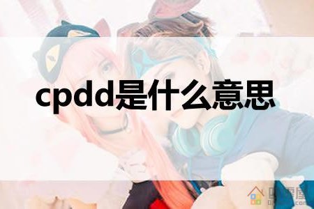 cpdd是什么意思？cp网络用语解释「科普」-第1张图