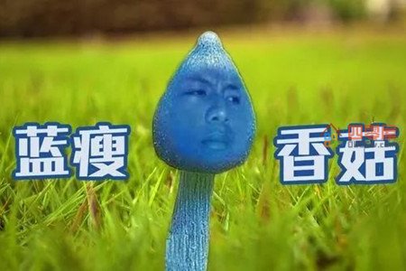 蓝瘦香菇是什么梗？蓝瘦香菇是什么意思？第2张图