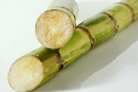 甘蔗上火还是降火?甘蔗的功效与作用