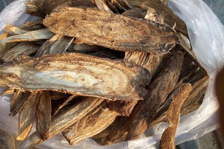 黄芪的最佳搭配,这五种黄芪的功效搭配补身体