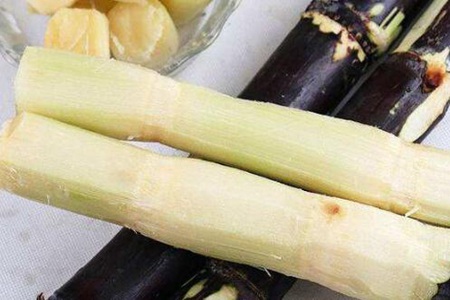 贫血吃什么补血效果最好?这五种食物血力十足大补养生