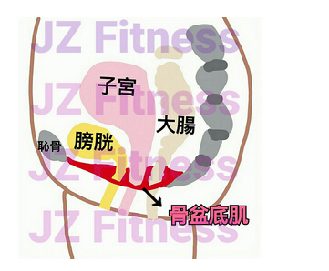 女性生理期腰酸背痛