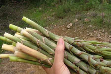 月经期间不能吃什么?远离这些食物健康度过特殊生理期