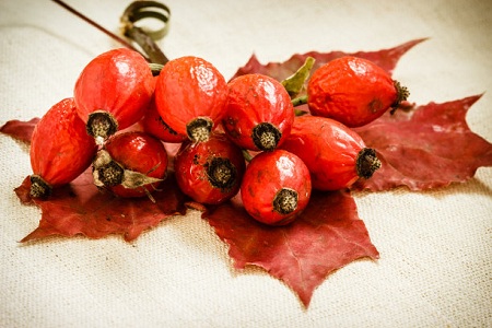 吃山楂有什么用处?既能消食也能活血化瘀