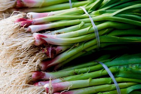 蒜苗的功效与作用,这五个蒜苗的营养价值及功效