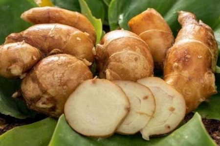 沙姜的功效与作用,这四个女人吃沙姜的营养功效