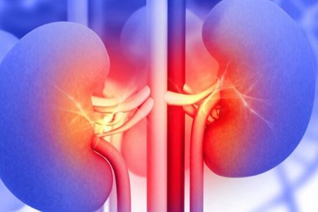 尿毒症有些什么症状?这五个症状早发生早治疗